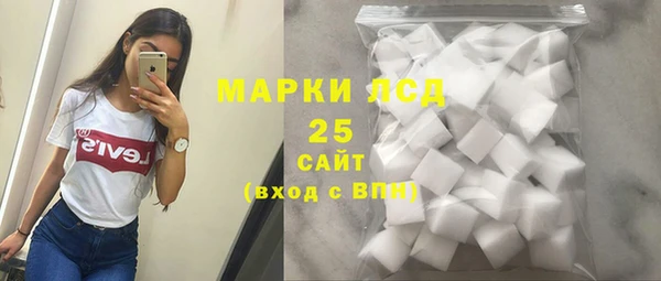 гашик Осинники