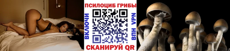 Галлюциногенные грибы мухоморы  Слюдянка 