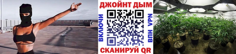 где найти   OMG ссылка  Каннабис план  Слюдянка 